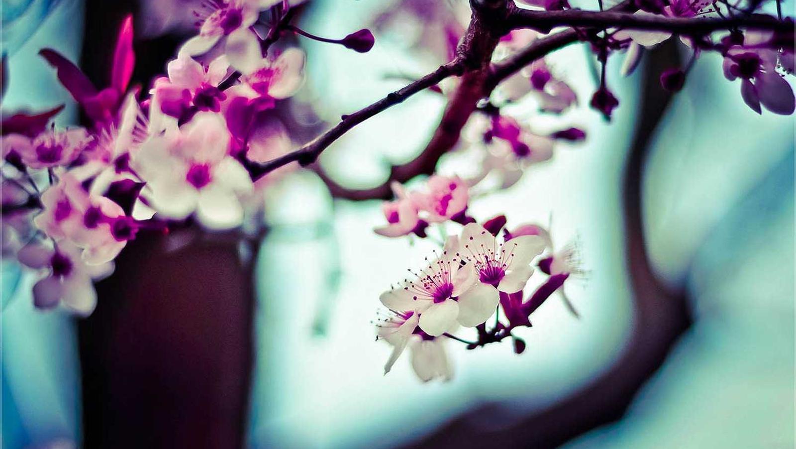 Singapore City Explorer - 5 Days